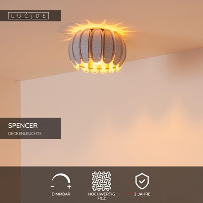 Lucide SPENCER - Deckenleuchte - Ø 30 cm - 1xE27 - Grau